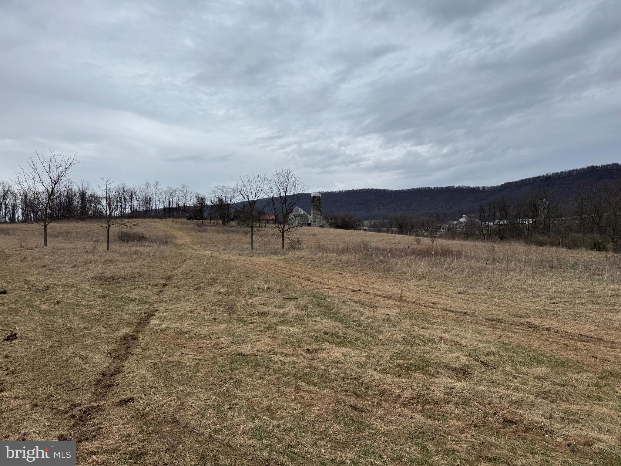 NONE AVAILABLE - Farm