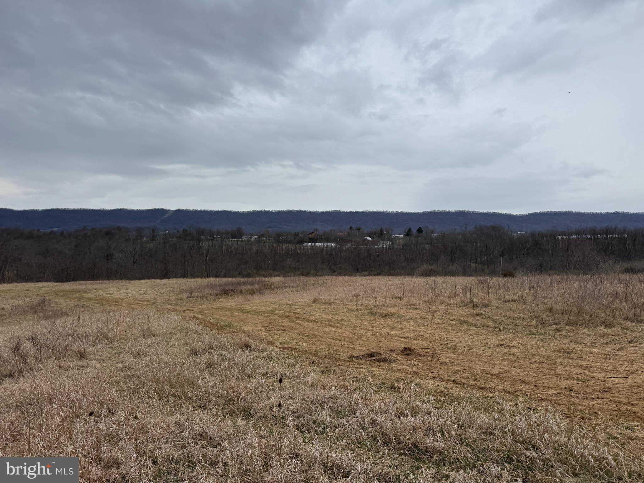 NONE AVAILABLE - Farm