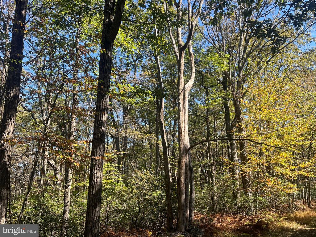 Photo of 74 Elm Dr., CATAWISSA, PA 17820 (MLS # PACO2000548)