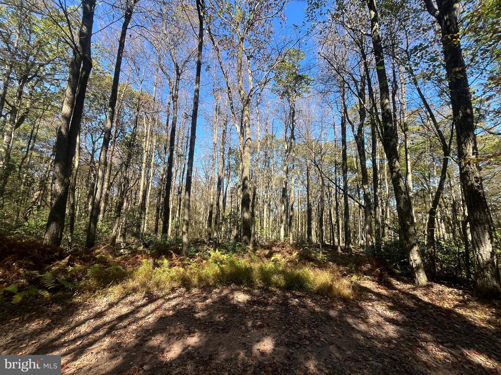 Photo of 74 Elm Dr., CATAWISSA, PA 17820 (MLS # PACO2000548)