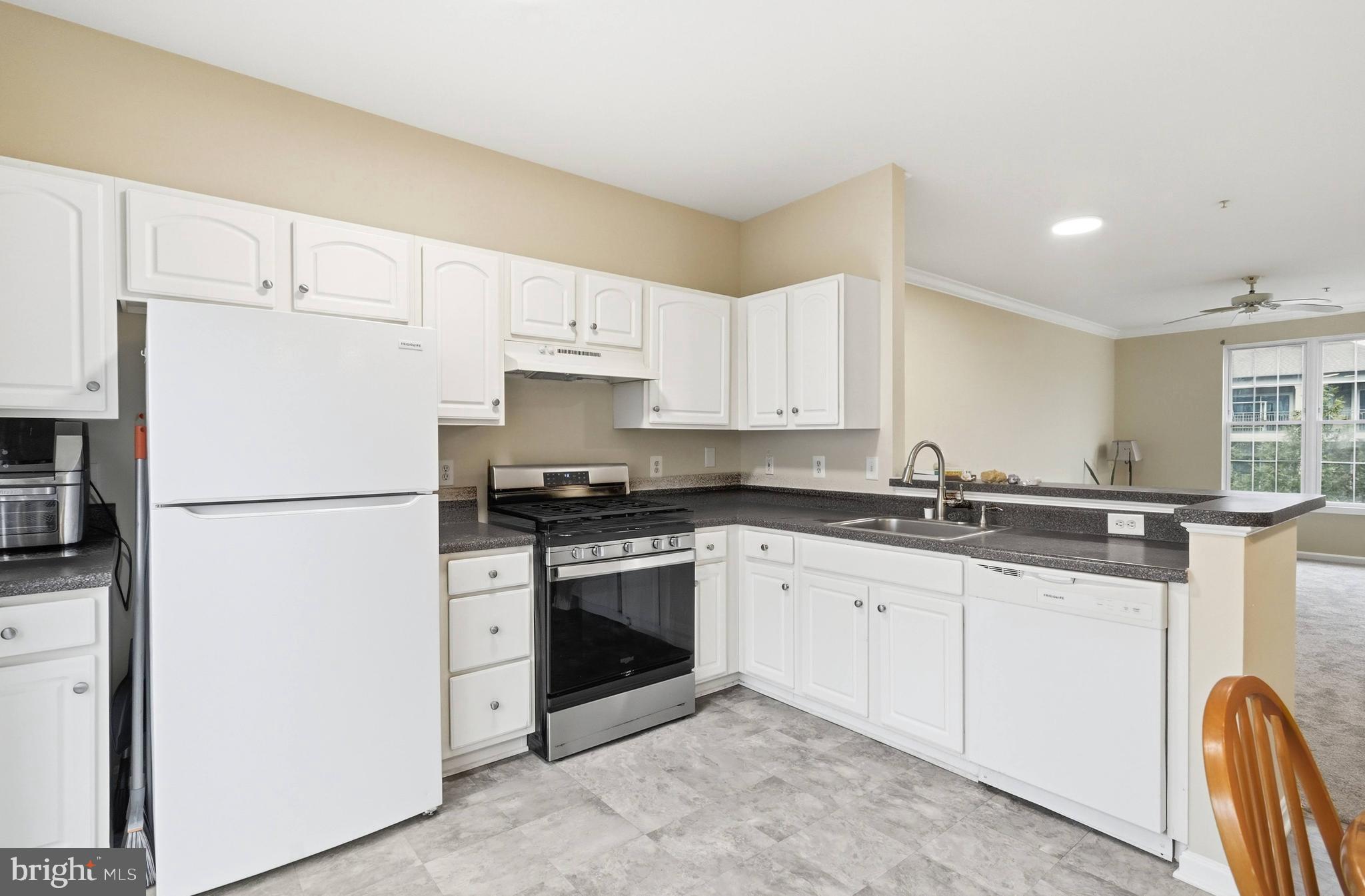 PARKSIDE AT ASHBURN - Residential