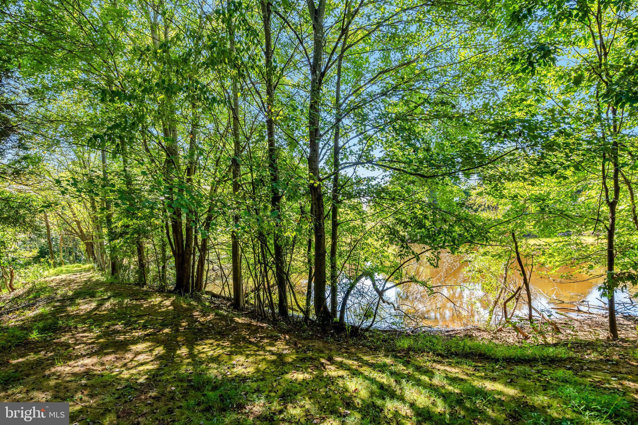 MOSBY WOODS - Residential