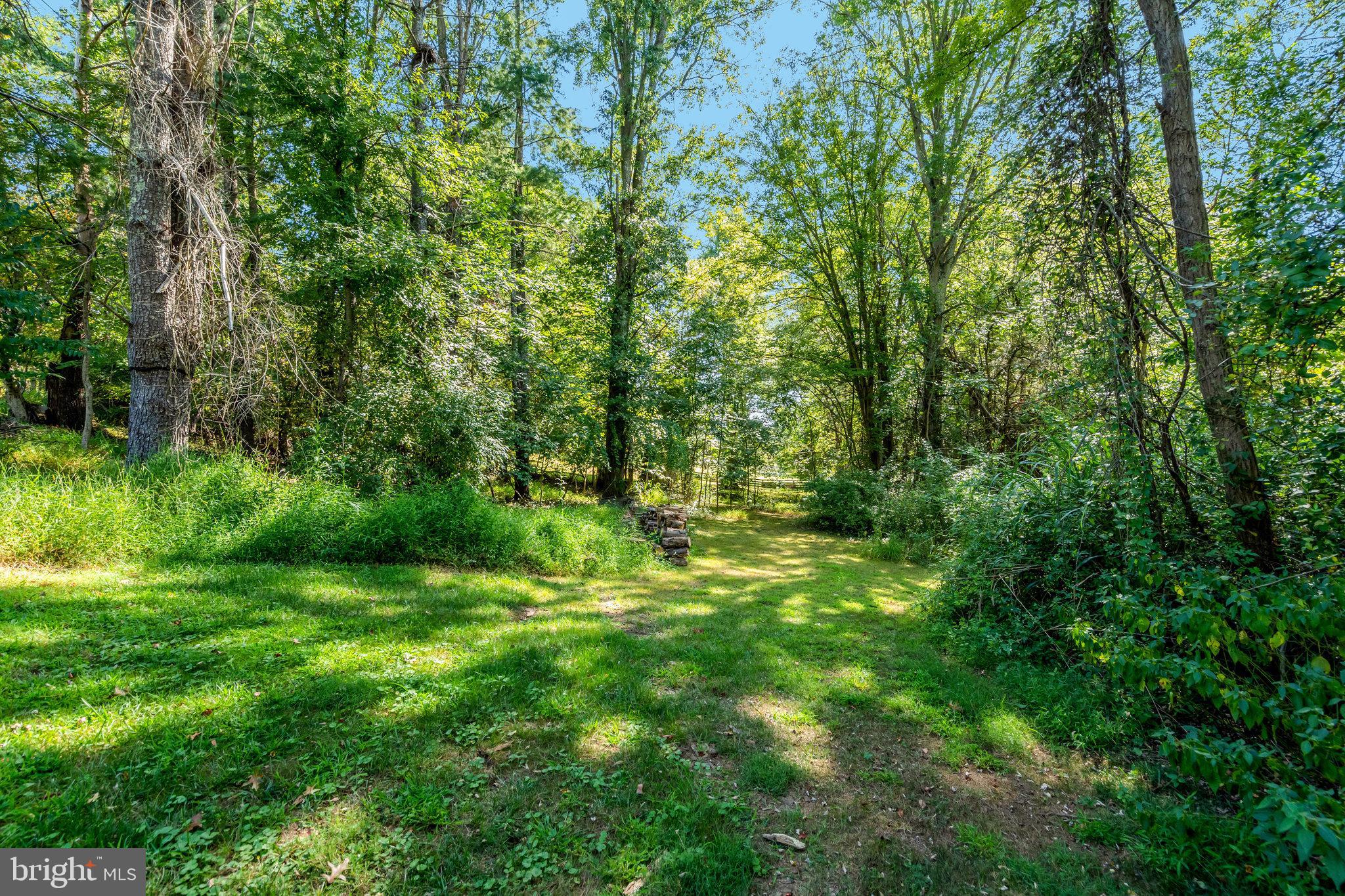 MOSBY WOODS - Residential