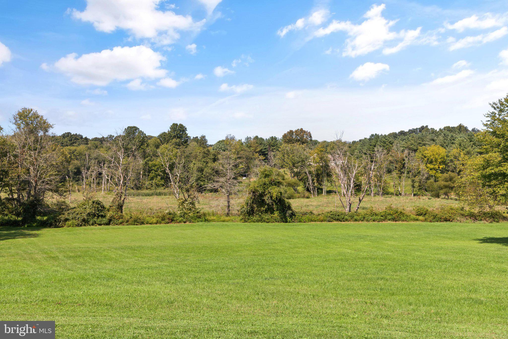 BEE TREE MILL - Residential