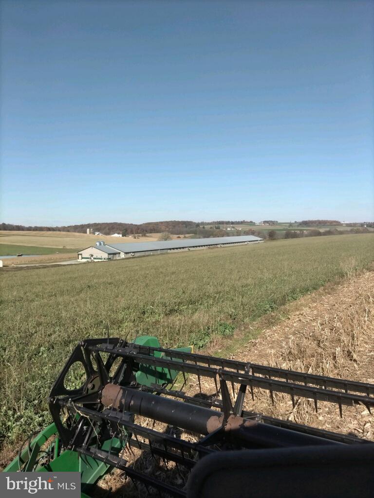 NONE AVAILABLE - Farm