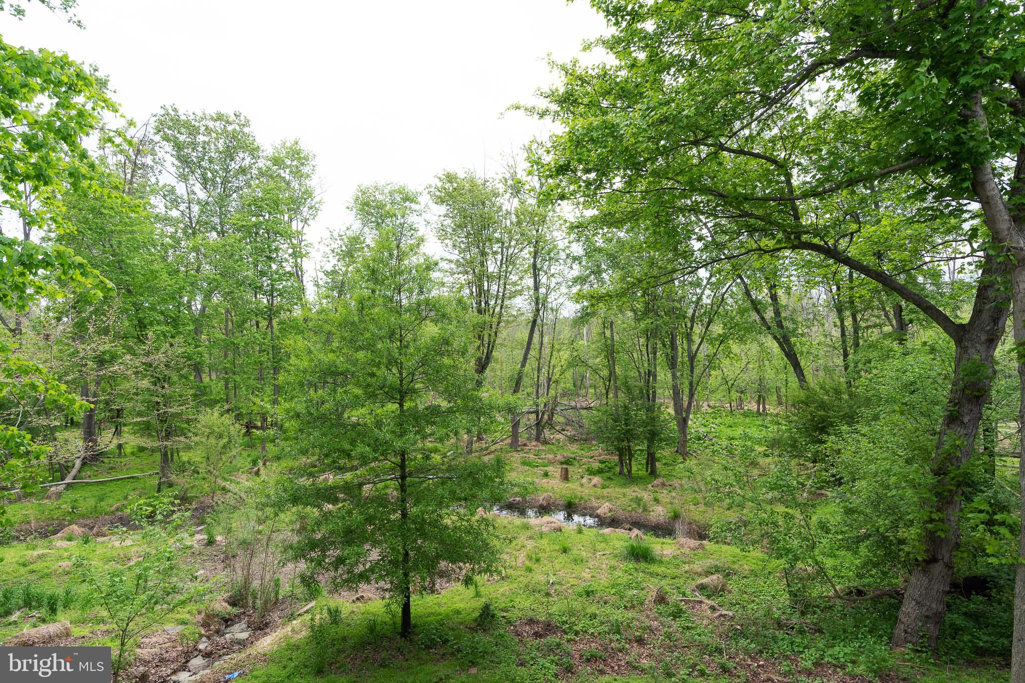 DORSEY HALL - Residential