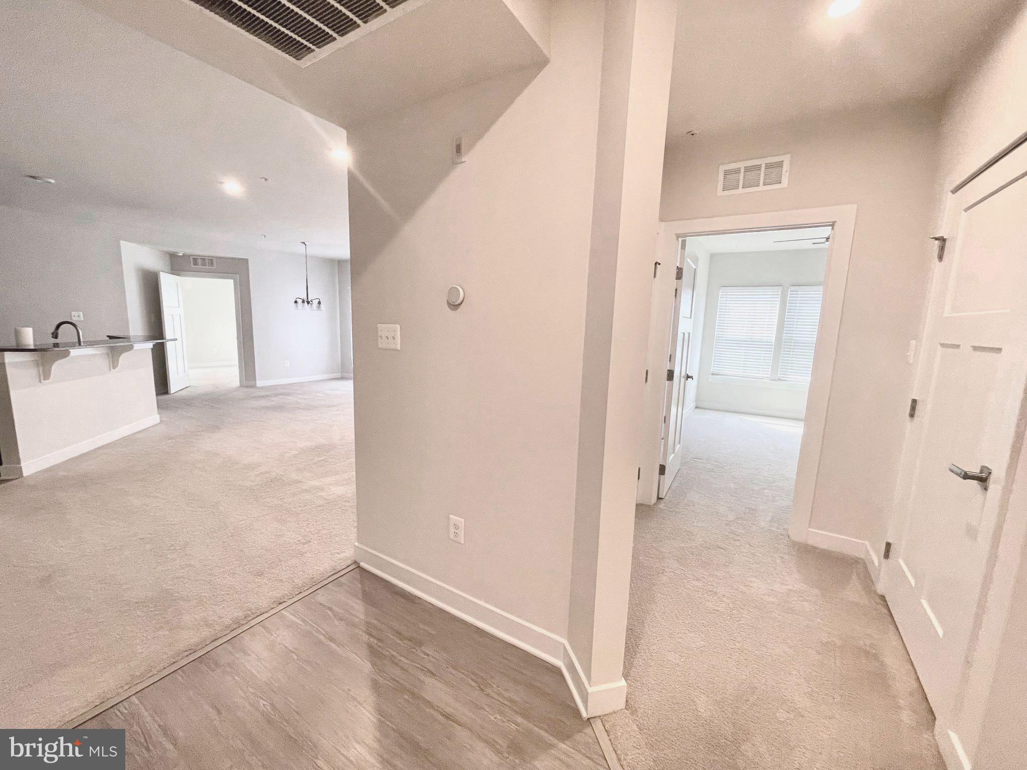 LAKE LINGANORE TOWN CENTER - Residential