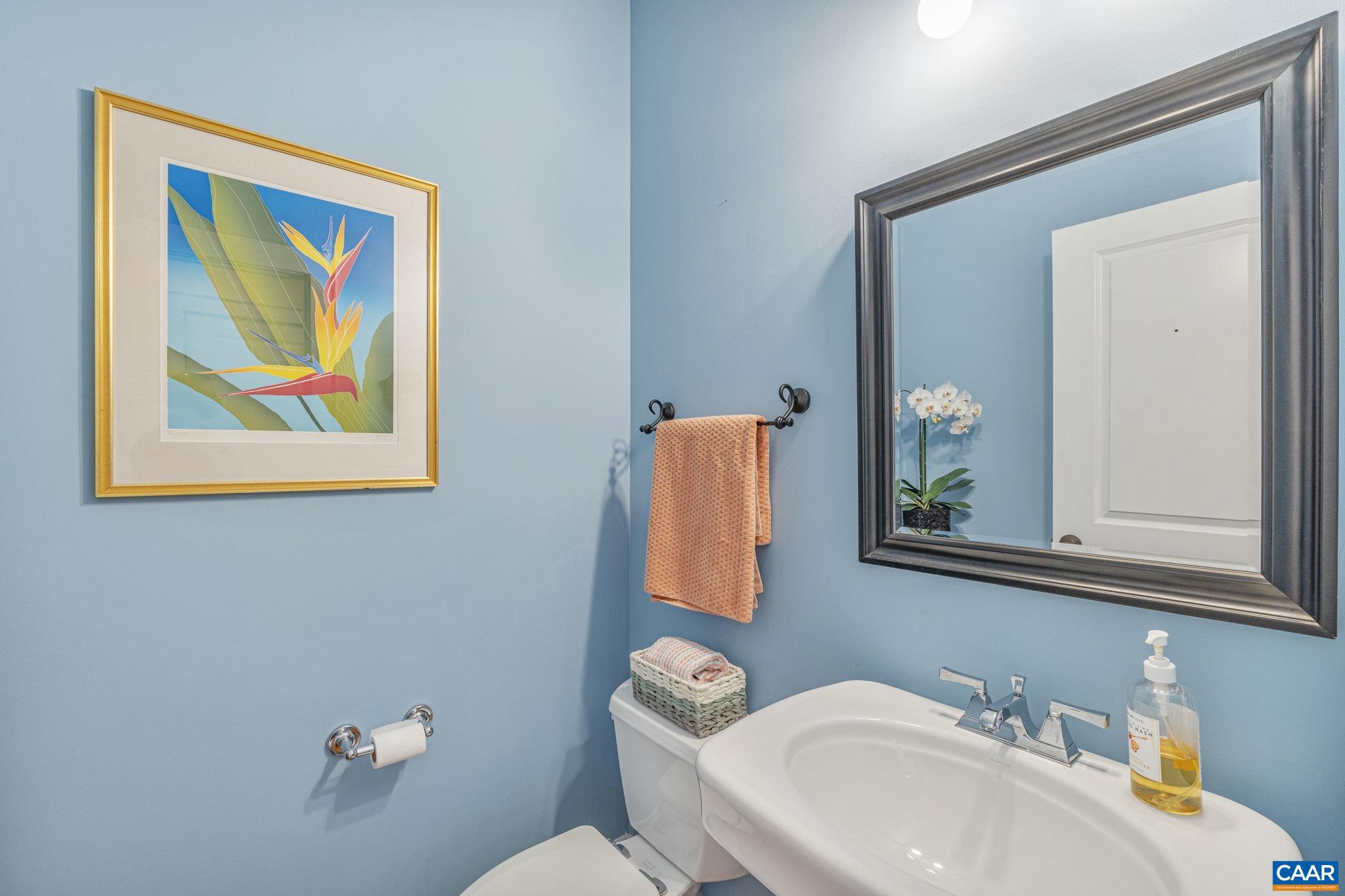 VILLAGE PLACE - Residential