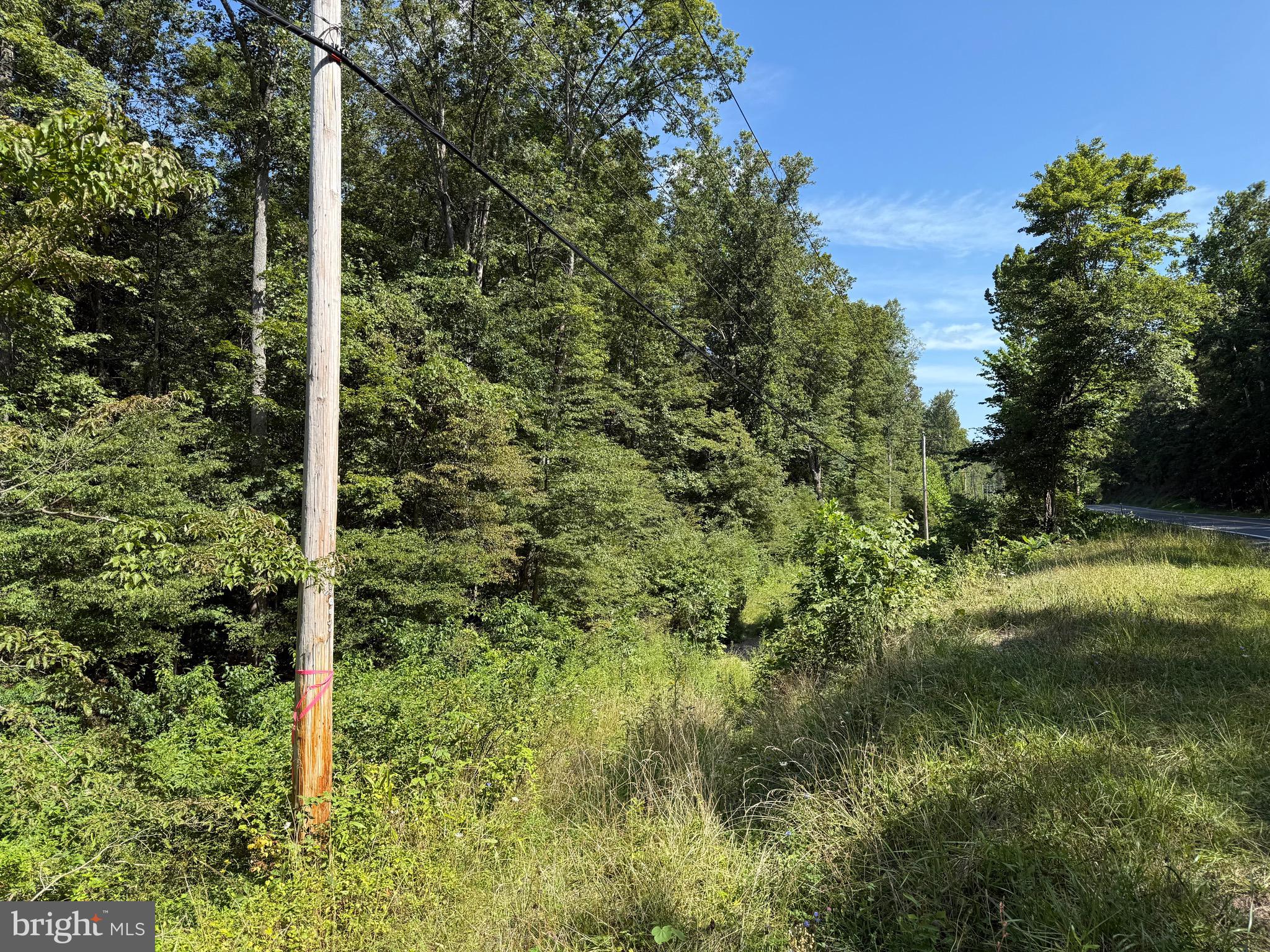 CACAPON ROAD