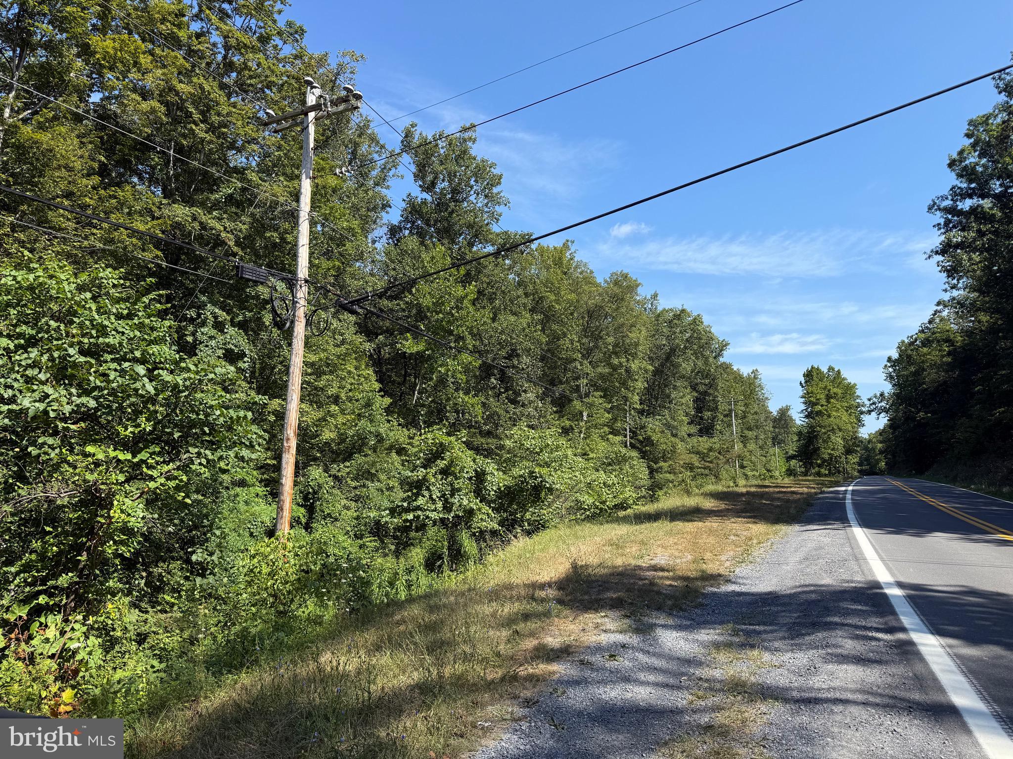 This expansive 53.70-acre property offers diverse opportunities, including hunting, shooting, ATV recreation, nature walks, and potential homestead development. Over 2800 feet (a half mile) of frontage along Cacapon Road and Long Hollow Run, this parcel presents potential for timber management and subdividing.