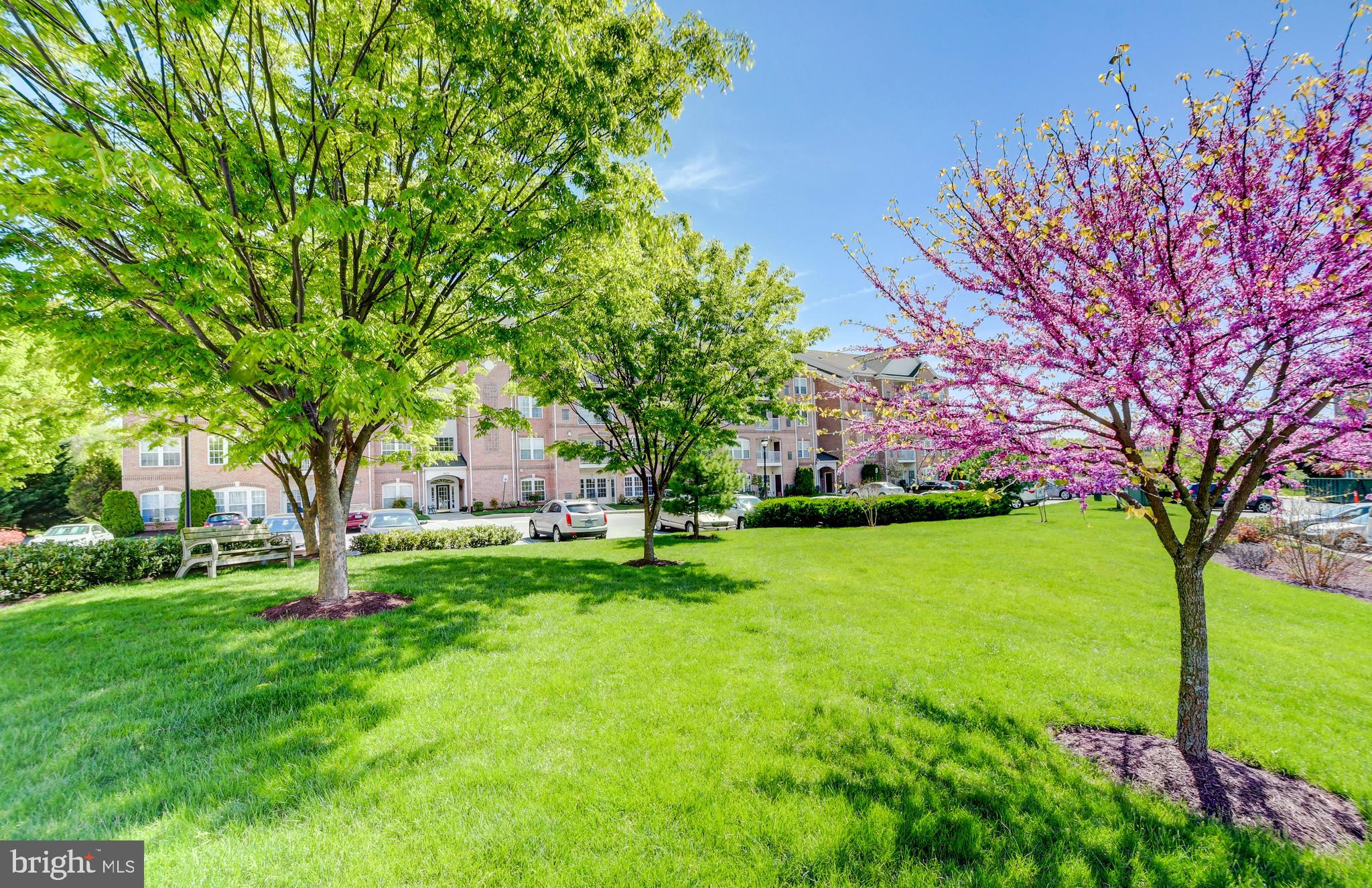 WINDSOR AT PERRY HALL FARMS - Residential