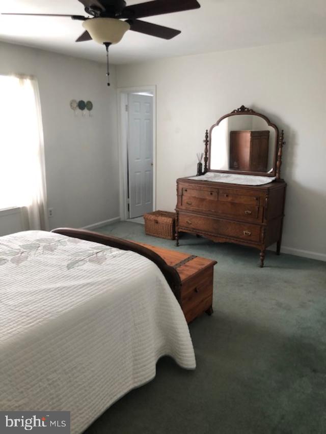 SATYR WOODS - Residential