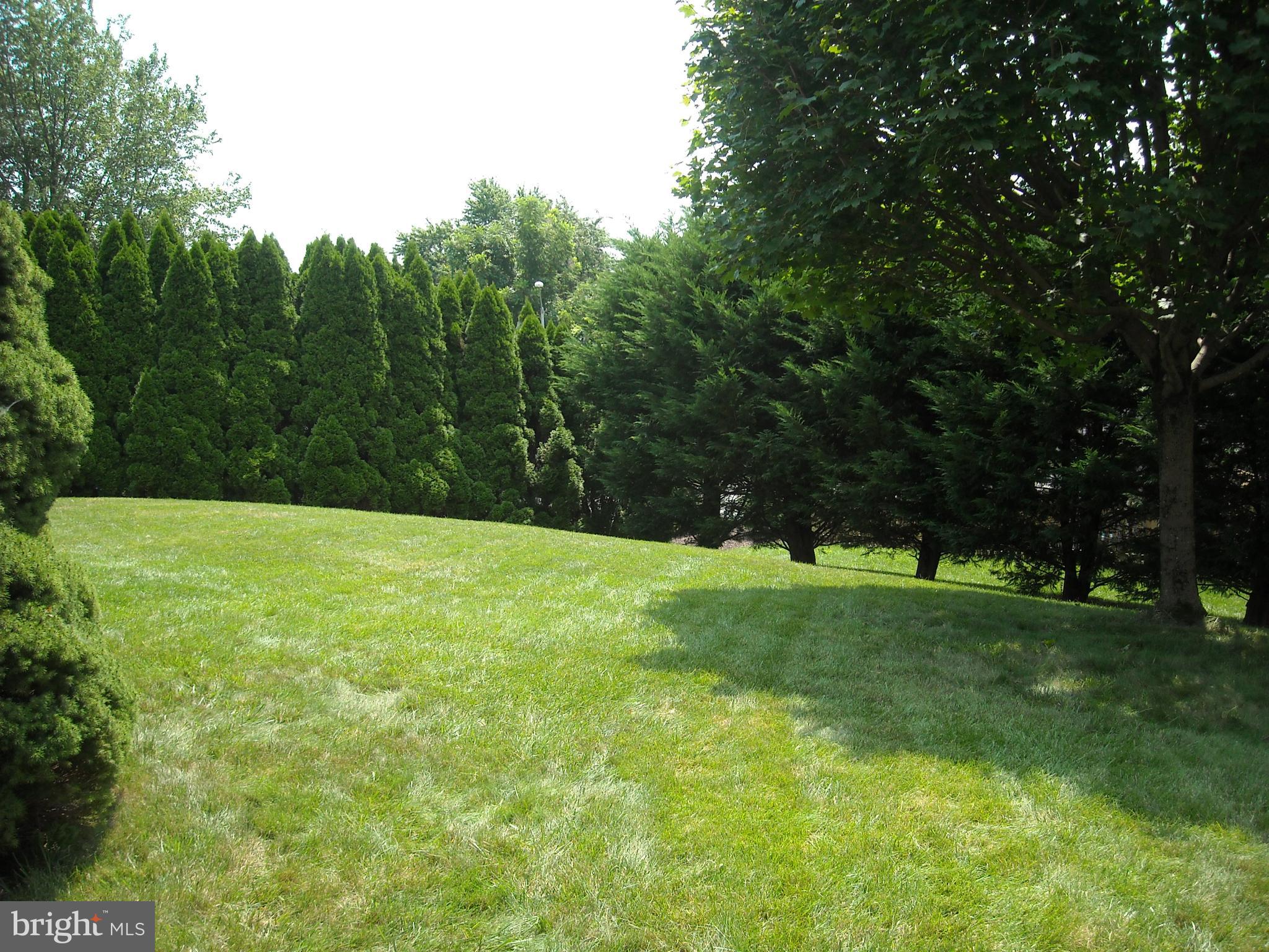 SATYR WOODS - Residential