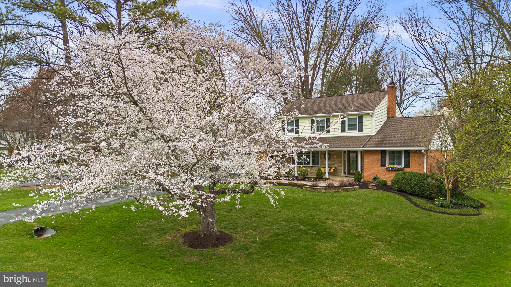 4120 SIR WALTER ROAD