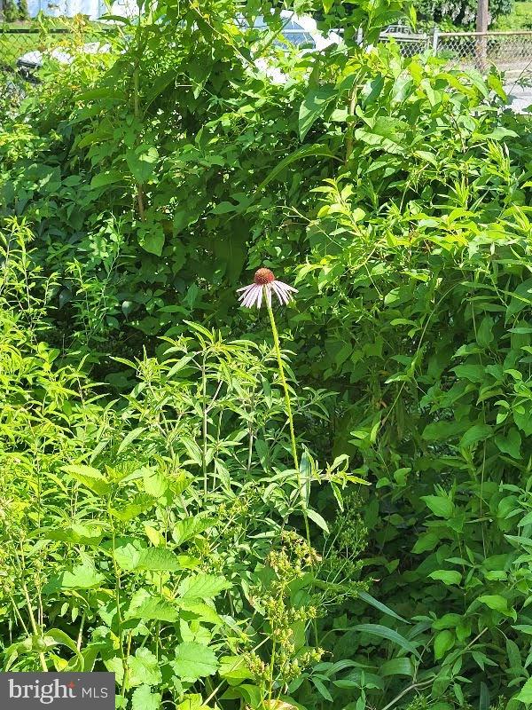 LAURAVILLE HISTORIC DISTRICT - Residential