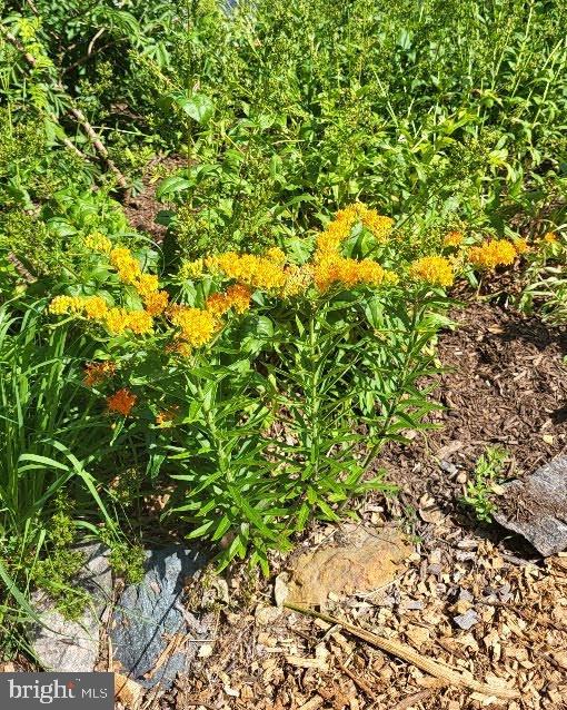 LAURAVILLE HISTORIC DISTRICT - Residential