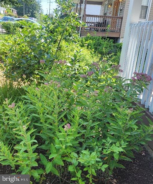 LAURAVILLE HISTORIC DISTRICT - Residential