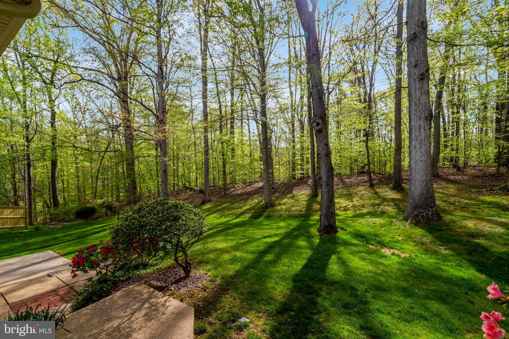 WEST SPRINGFIELD - Residential