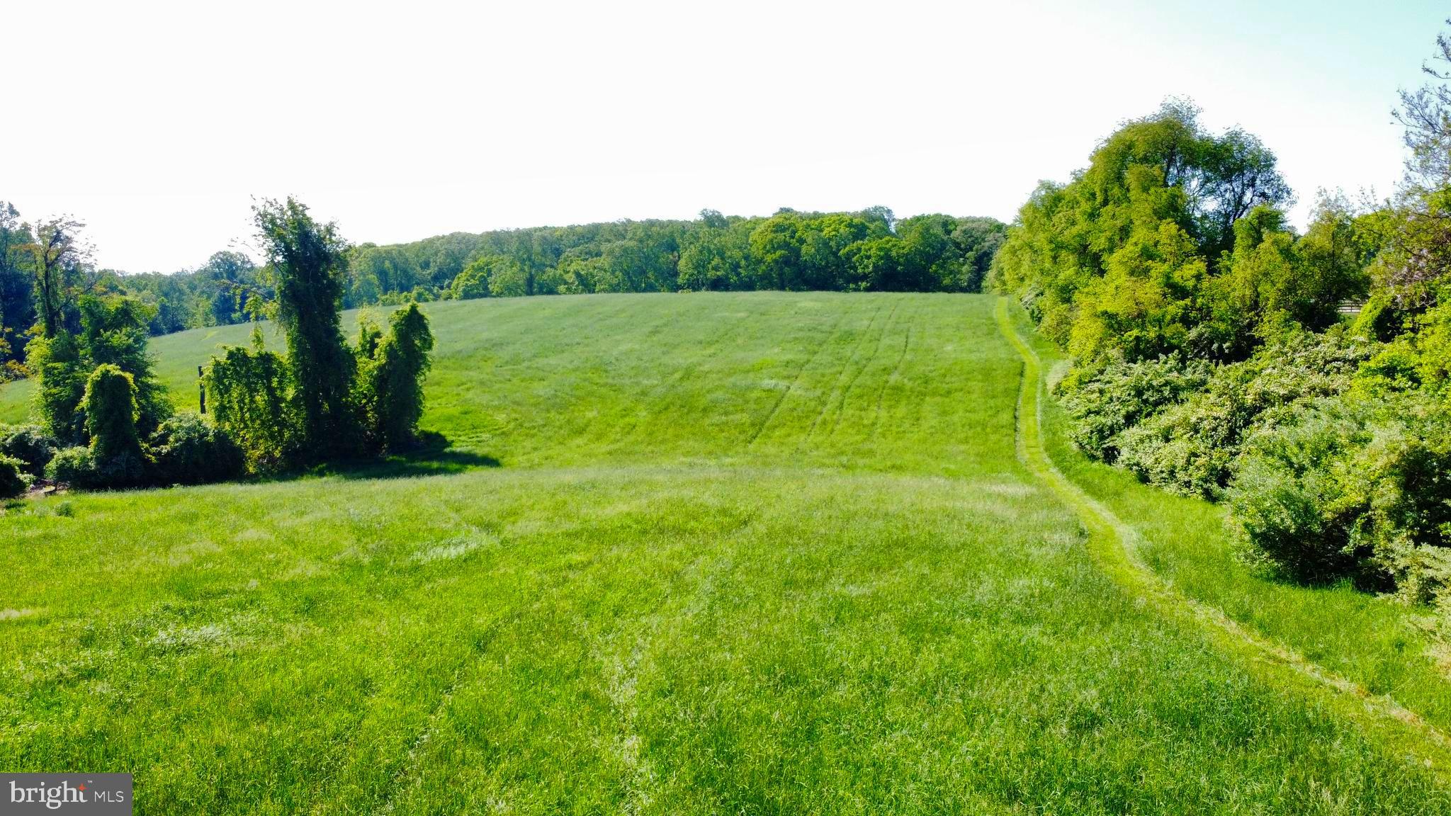 CHESHIRE HUNT - Land