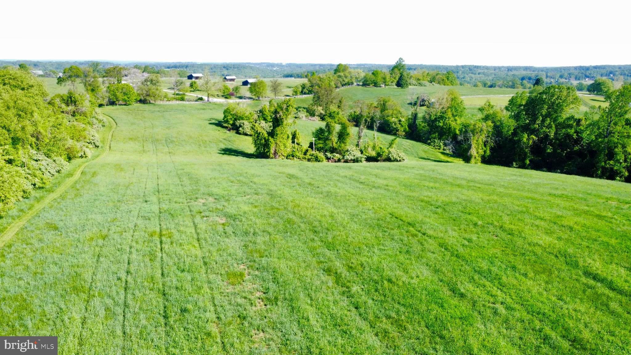 CHESHIRE HUNT - Land