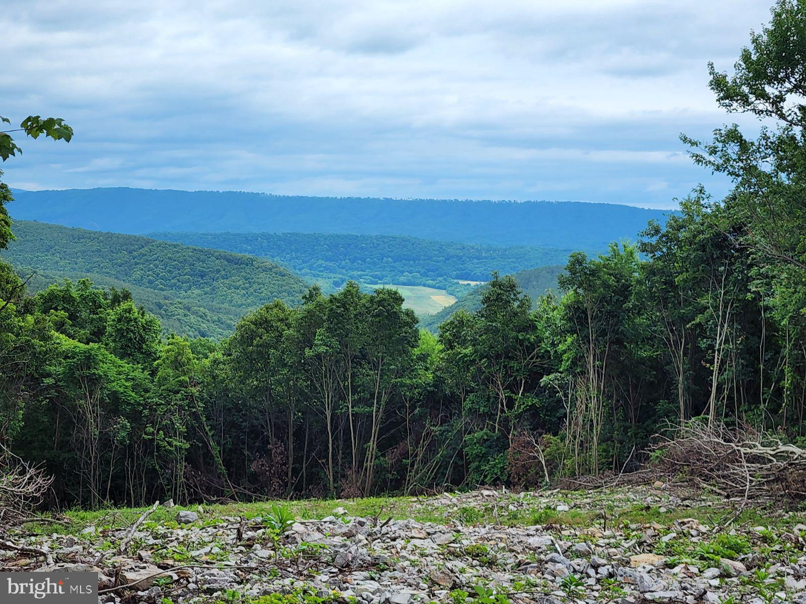 BLUFFS ON THE POTOMAC - Land