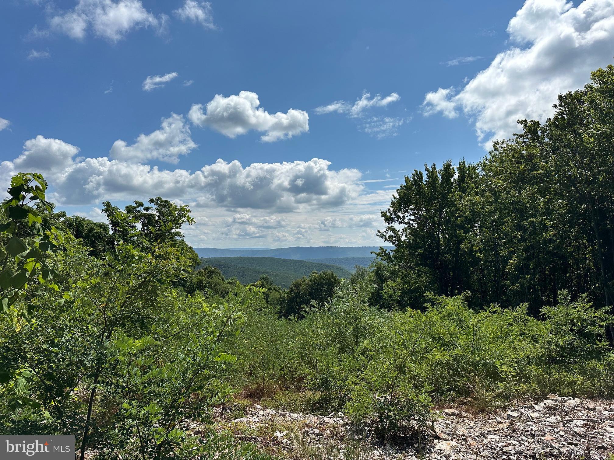 BLUFFS ON THE POTOMAC - Land