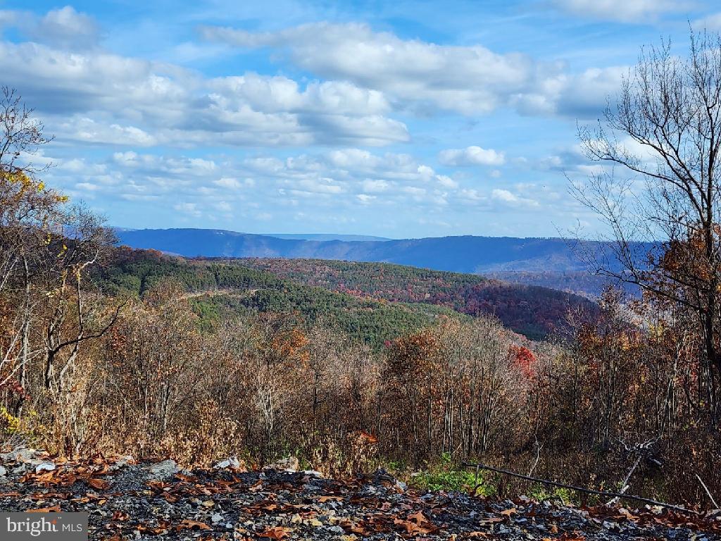 BLUFFS ON THE POTOMAC - Land