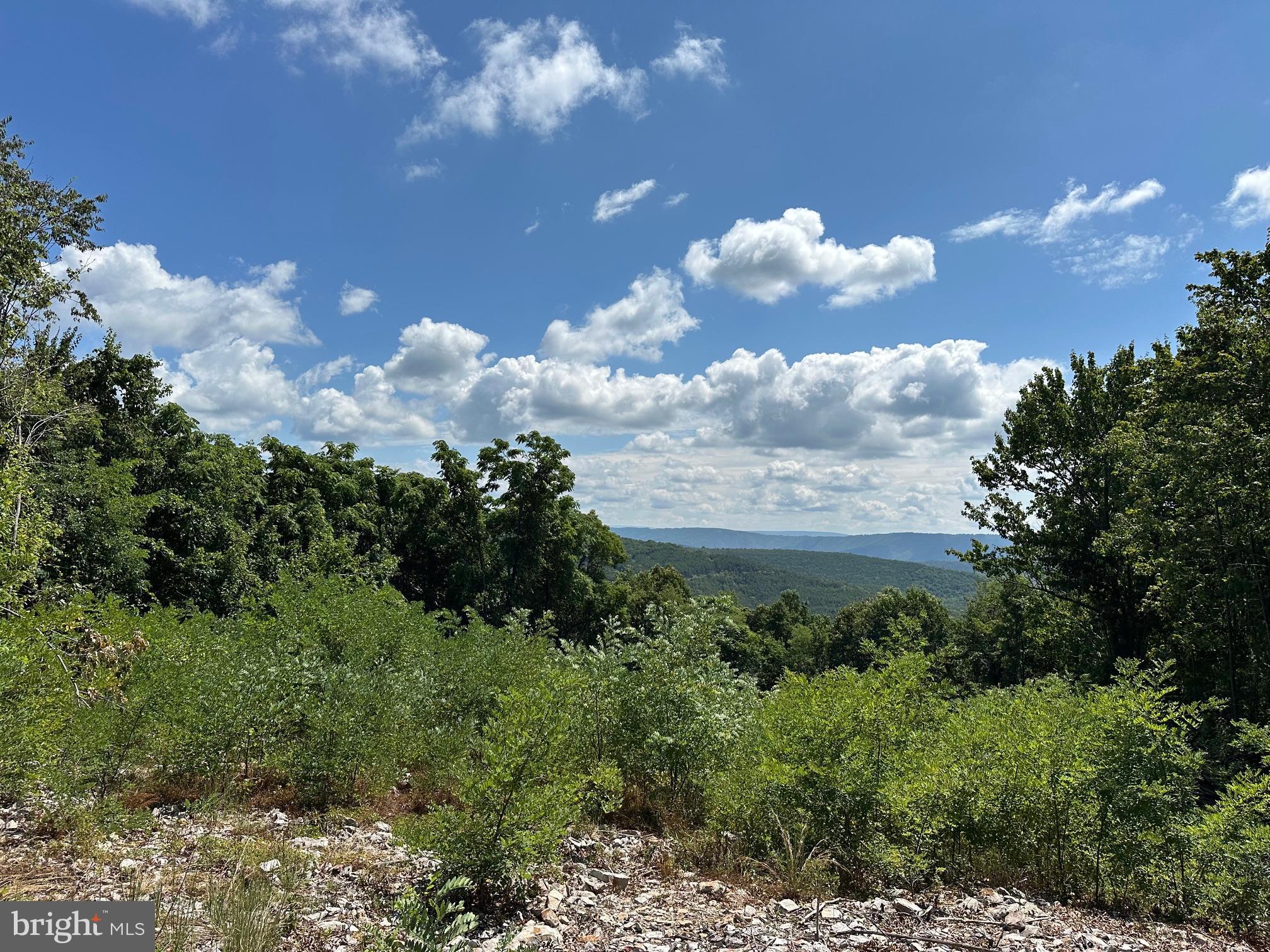 BLUFFS ON THE POTOMAC - Land