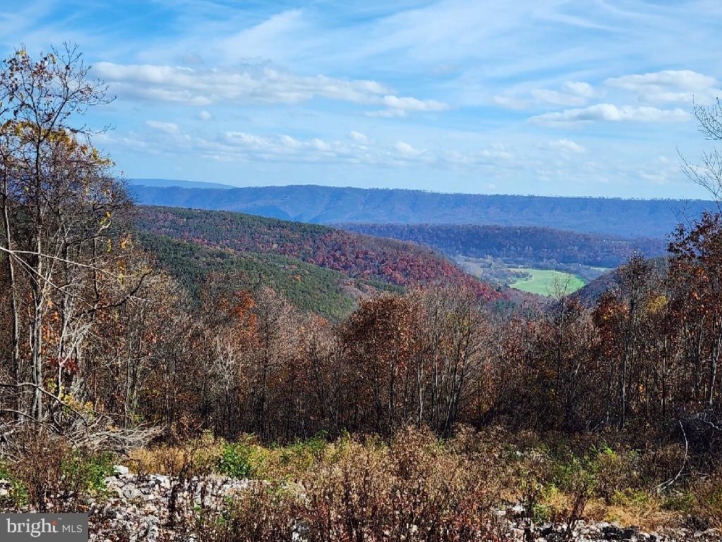 JUST A DAY TRIP AWAY FROM THE HUSTLE AND BUSTLE IS THIS CLEARED CAMPING SITE WITH HEAVENLY VIEWS. NO NEED TO BE ENVIOUS OF THE BIRDS, YOU CAN MARVEL AT THE VIEW AND NOT NEED WINGS. THE ESTABLISHED DRIVEWAY, LEVELED BUILD/CAMPING SITE AND CLEARED TREES FOR EVERLASTING VIEWS ARE EXPENSIVE IMPROVEMENTS THAT YOU WILL NOT NEED TO BUDGET FOR! BRING YOUR RV'S AND ATV'S AND MOUNTAINEER SPIRIT TO ENJOY THE FRESH AIR AND STARRY NIGHTS. WITH HUNTING SEASON QUICKLY APPROACHING, GET READY TO SEEK OUT THE WILD GAME THAT THE 20+ ACRES OFFERS. IN ADDITION TO THE PRIVATE WOODED LANDSCAPE AND PANORAMIC VIEWS IS PRIVATE DEEDED ACCESS TO OWNERS FOR THE SOUTH BRANCH OF THE POTOMAC RIVER AND PICNIC PAVILION. ELECTRICITY IS AVAILABLE ON THE ROAD FRONTAGE. DON'T WAIT ON THIS ONE! YOUR MOUNTAIN LAND RETREAT AWAITS!