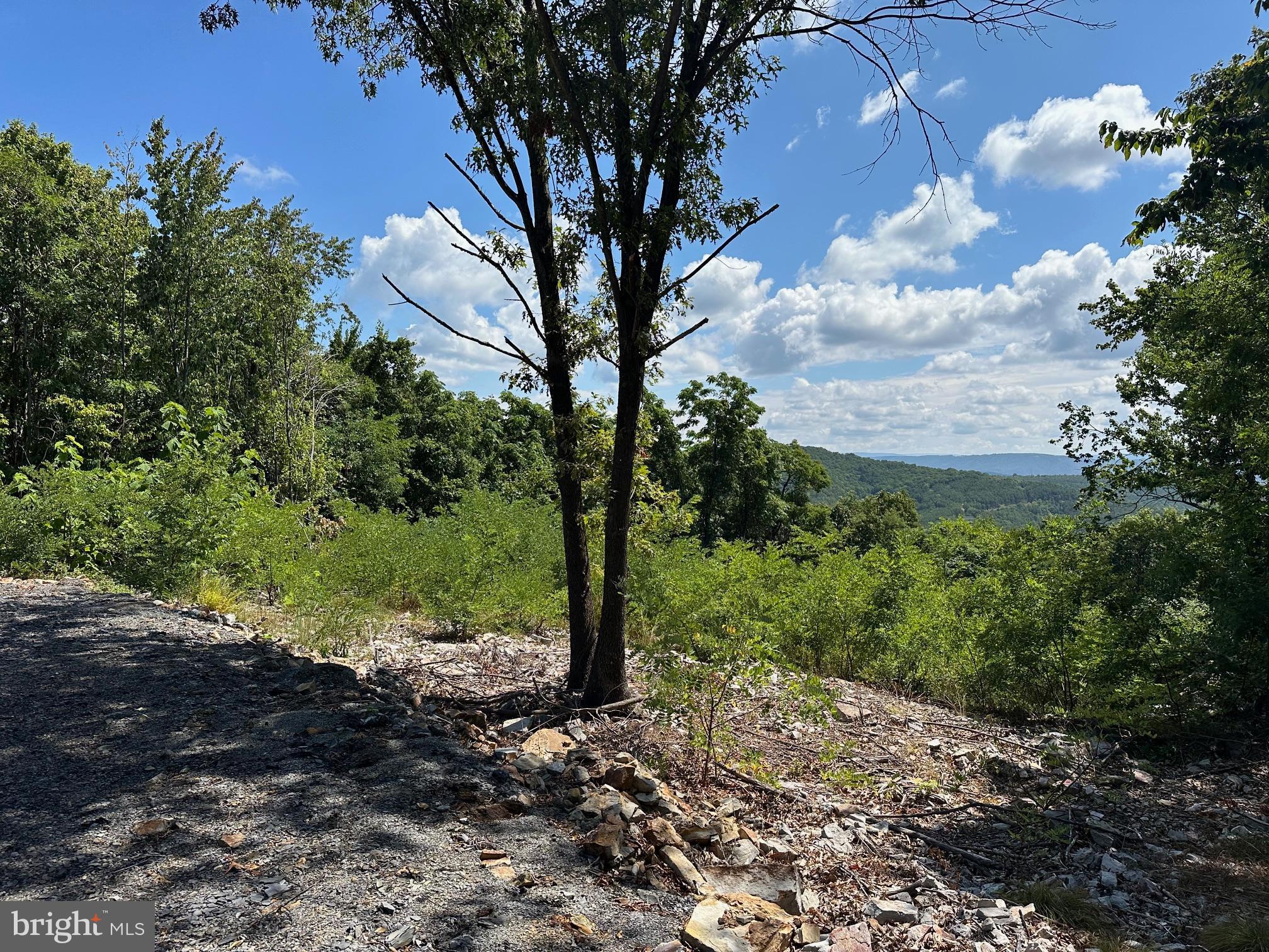 BLUFFS ON THE POTOMAC - Land