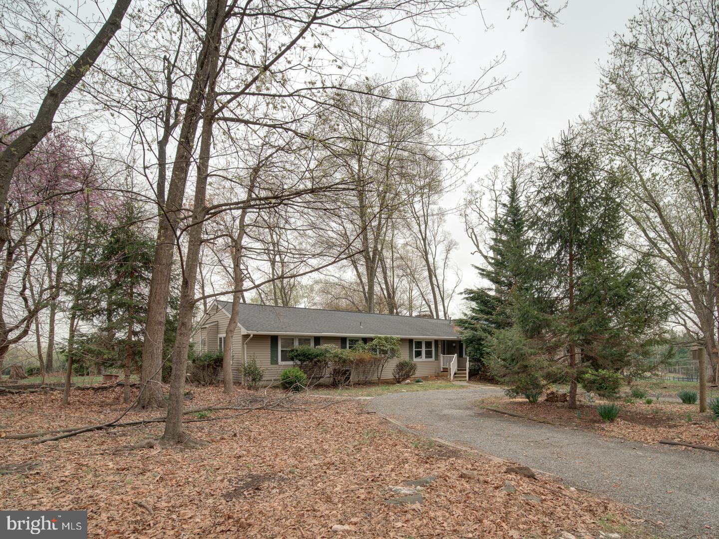 17520 TRANQUILITY ROAD