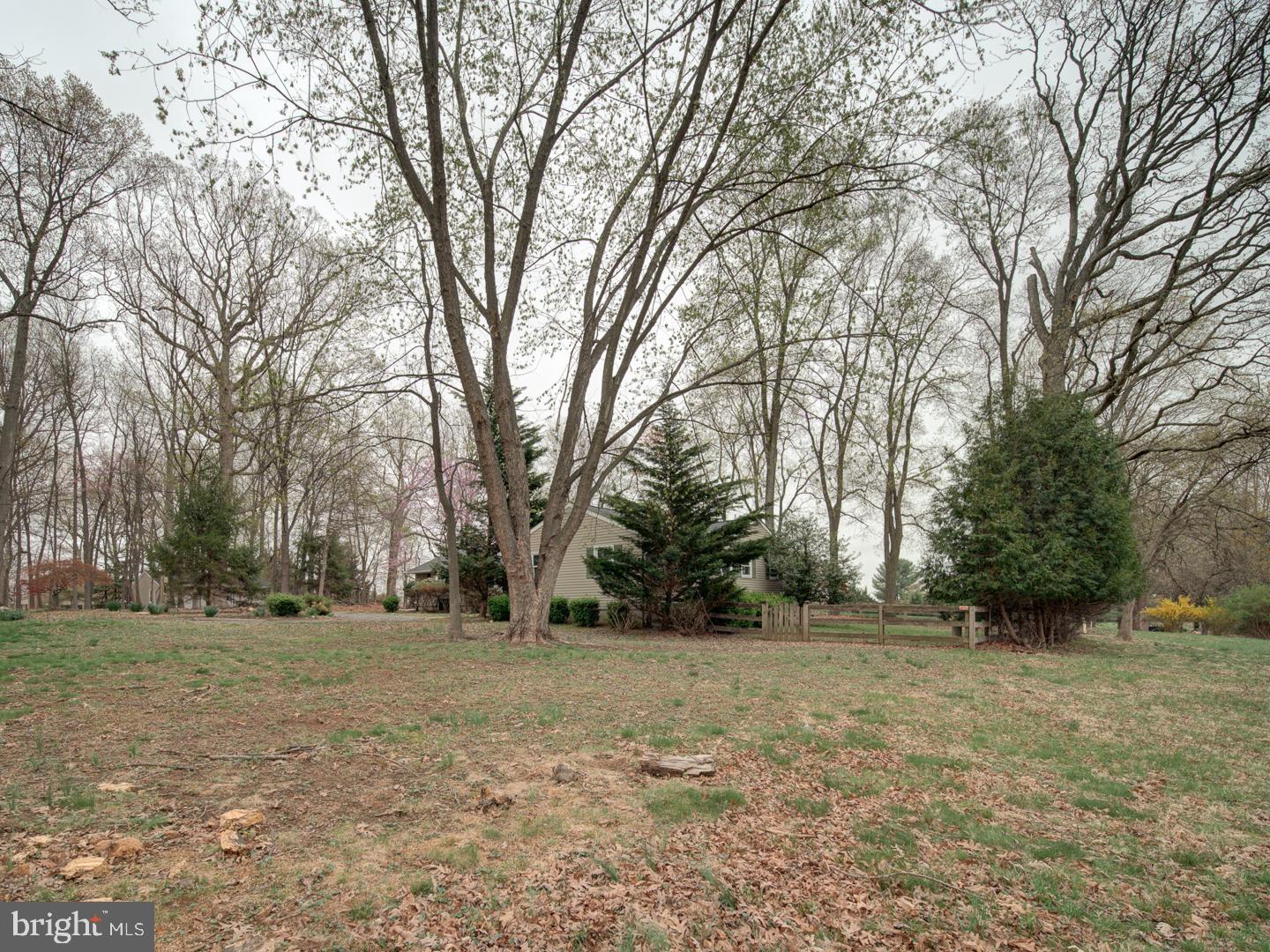 17520 TRANQUILITY ROAD