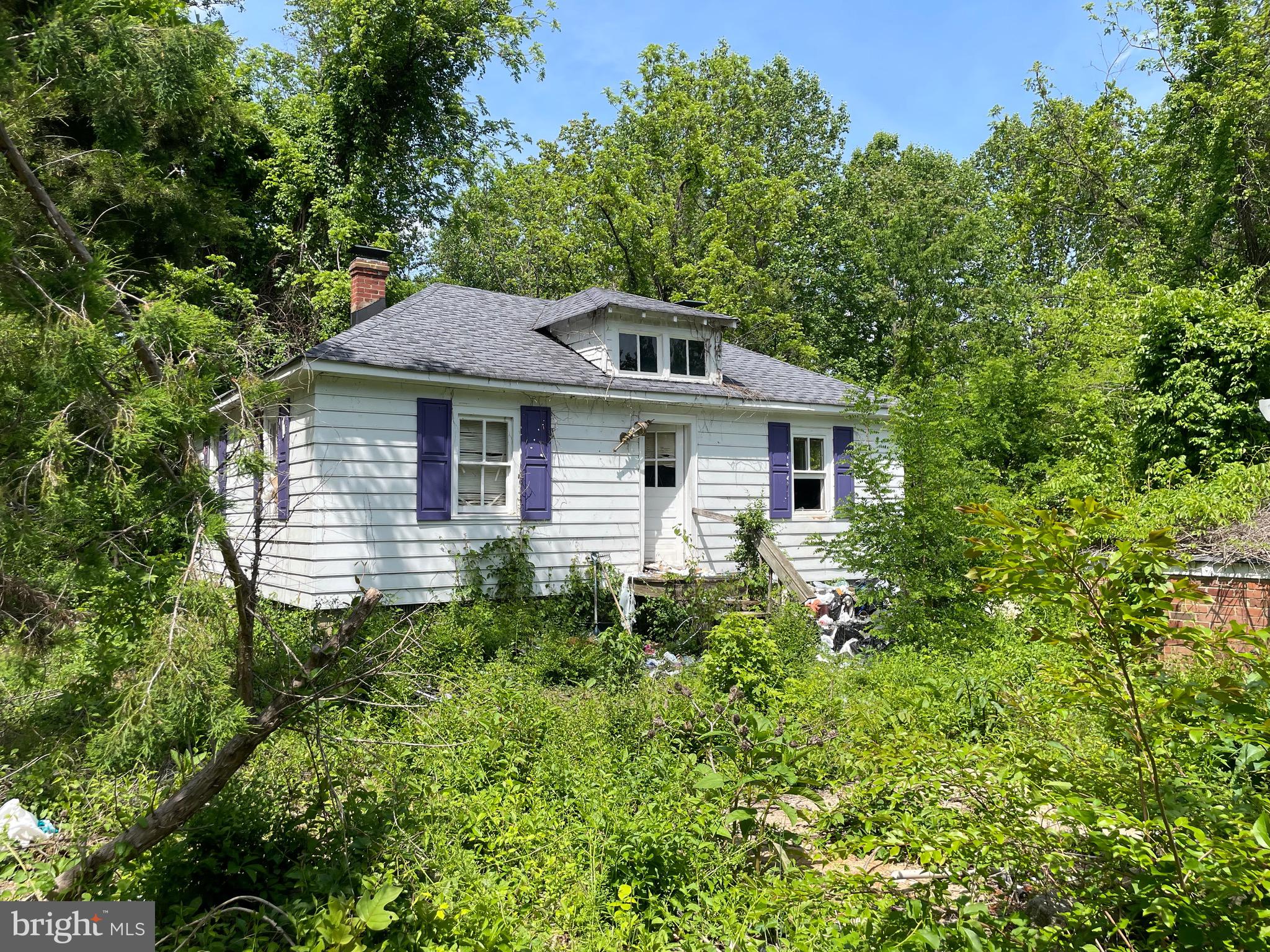 Main image without alt text