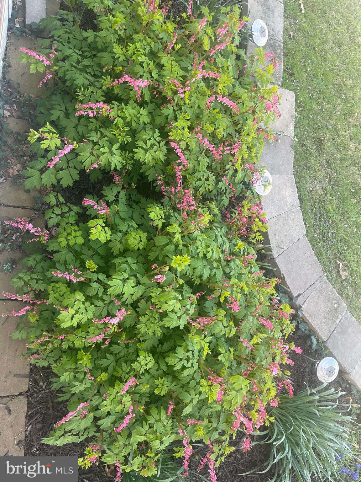 NORTH LINTHICUM - Residential