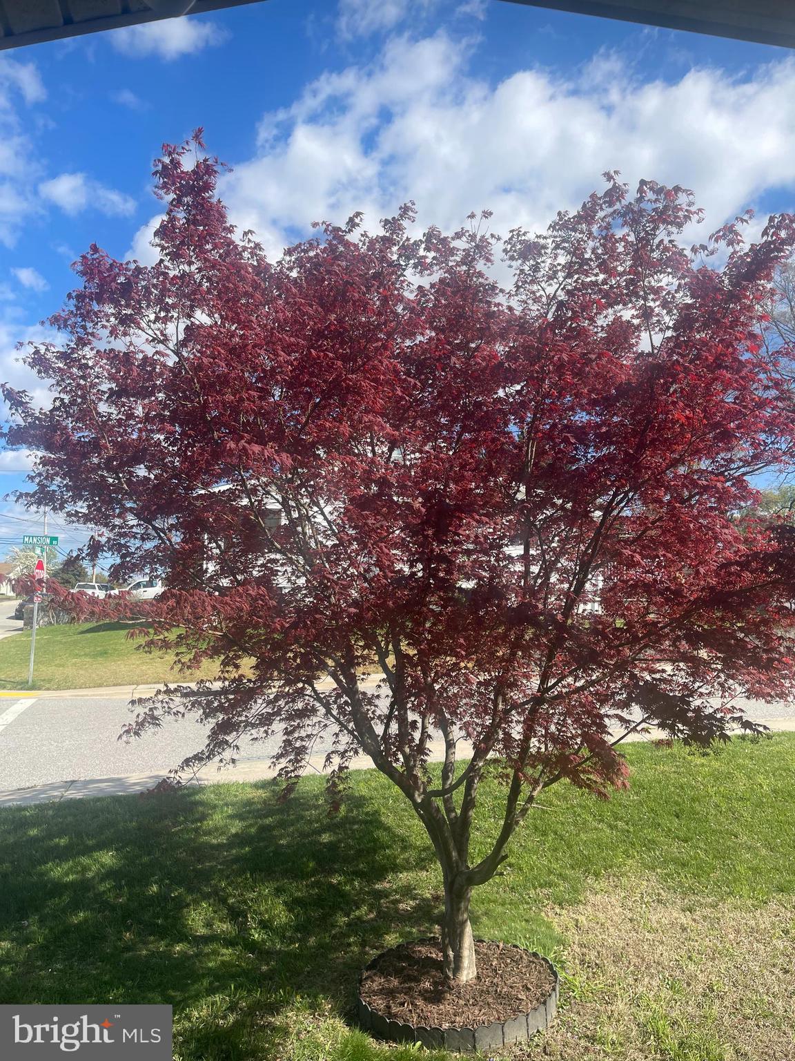 NORTH LINTHICUM - Residential