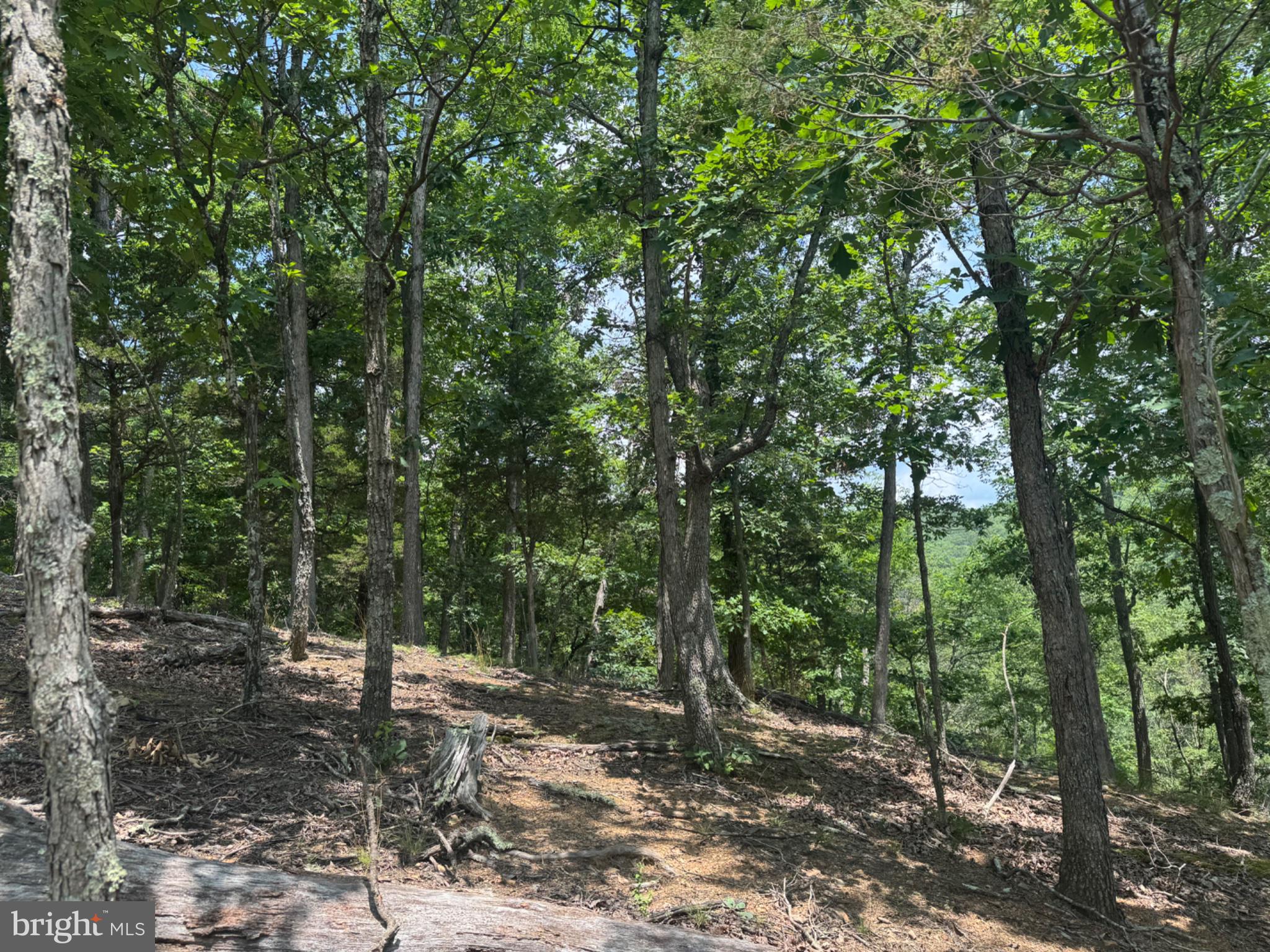 GINEVAN ROAD