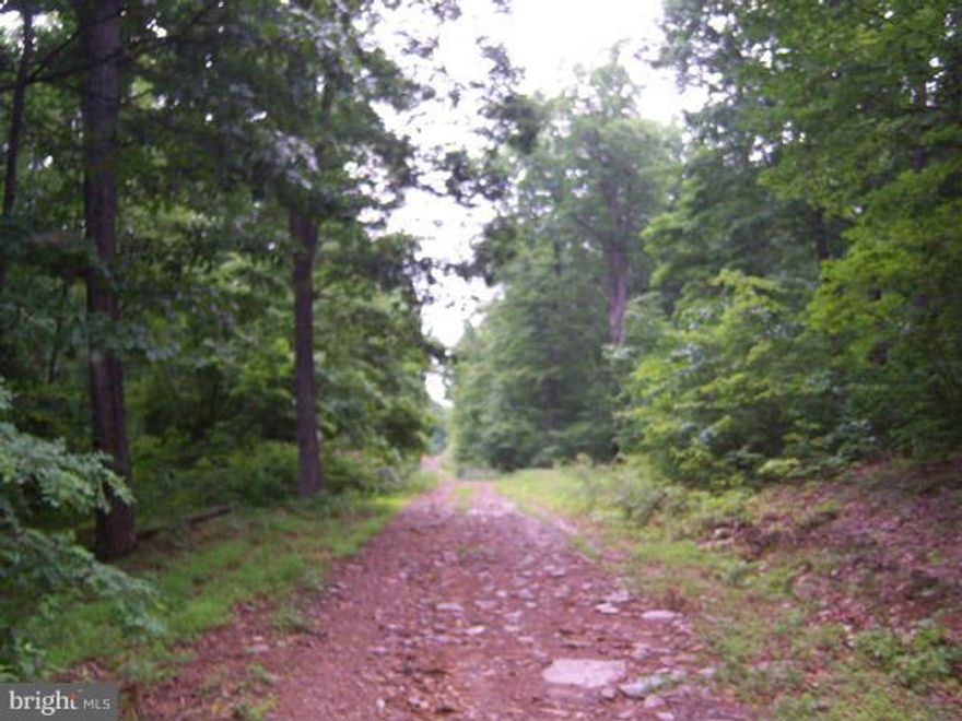 Cacapon Mountain, 55 acres with easy access, multiple building areas, views are obtainable, Cacapon River access is within a couple miles. The perfect location mountain retreat, hunting, hiking, camping and river sports. Call today!