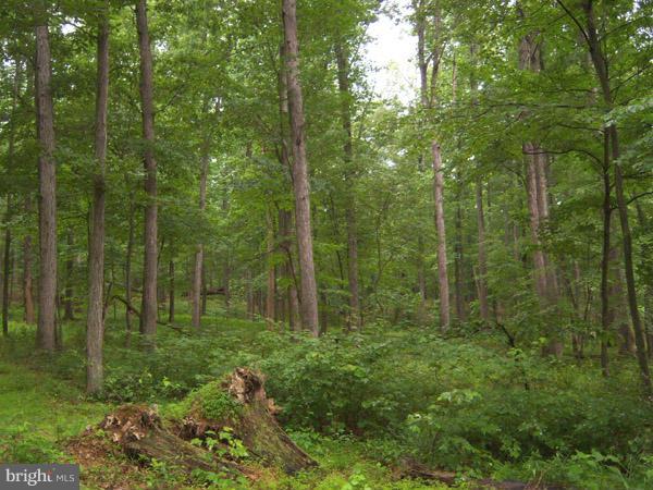 CACAPON MOUNTAIN RECREATIONAL AREA - Land