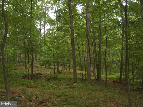 CACAPON MOUNTAIN RECREATIONAL AREA - Land