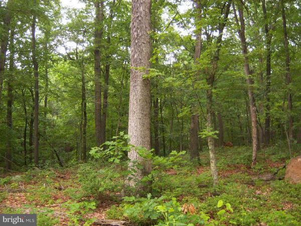 CACAPON MOUNTAIN RECREATIONAL AREA - Land