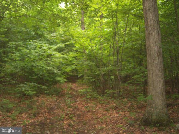 CACAPON MOUNTAIN RECREATIONAL AREA - Land