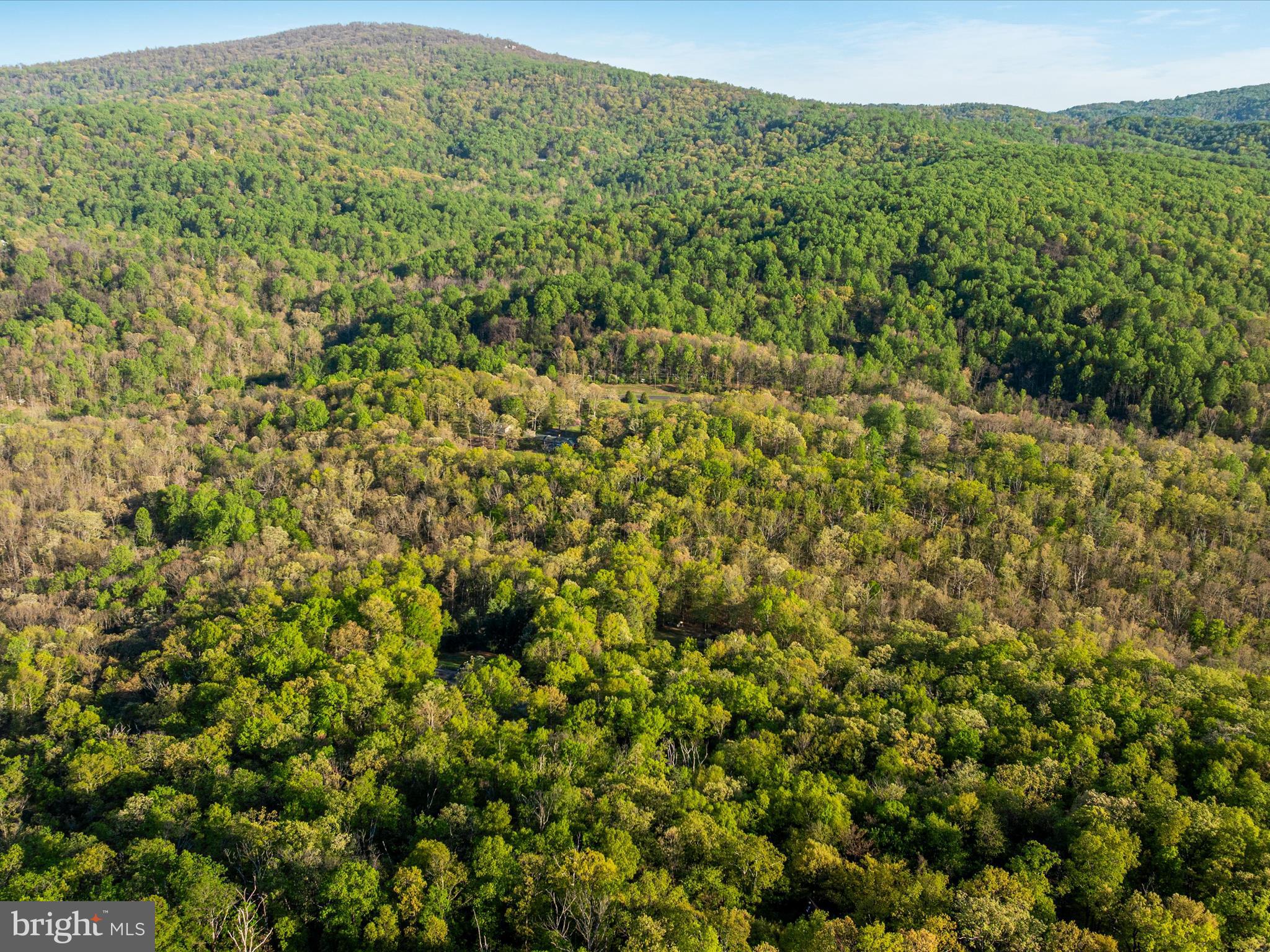 GREEN HILL FOREST - Residential Lease