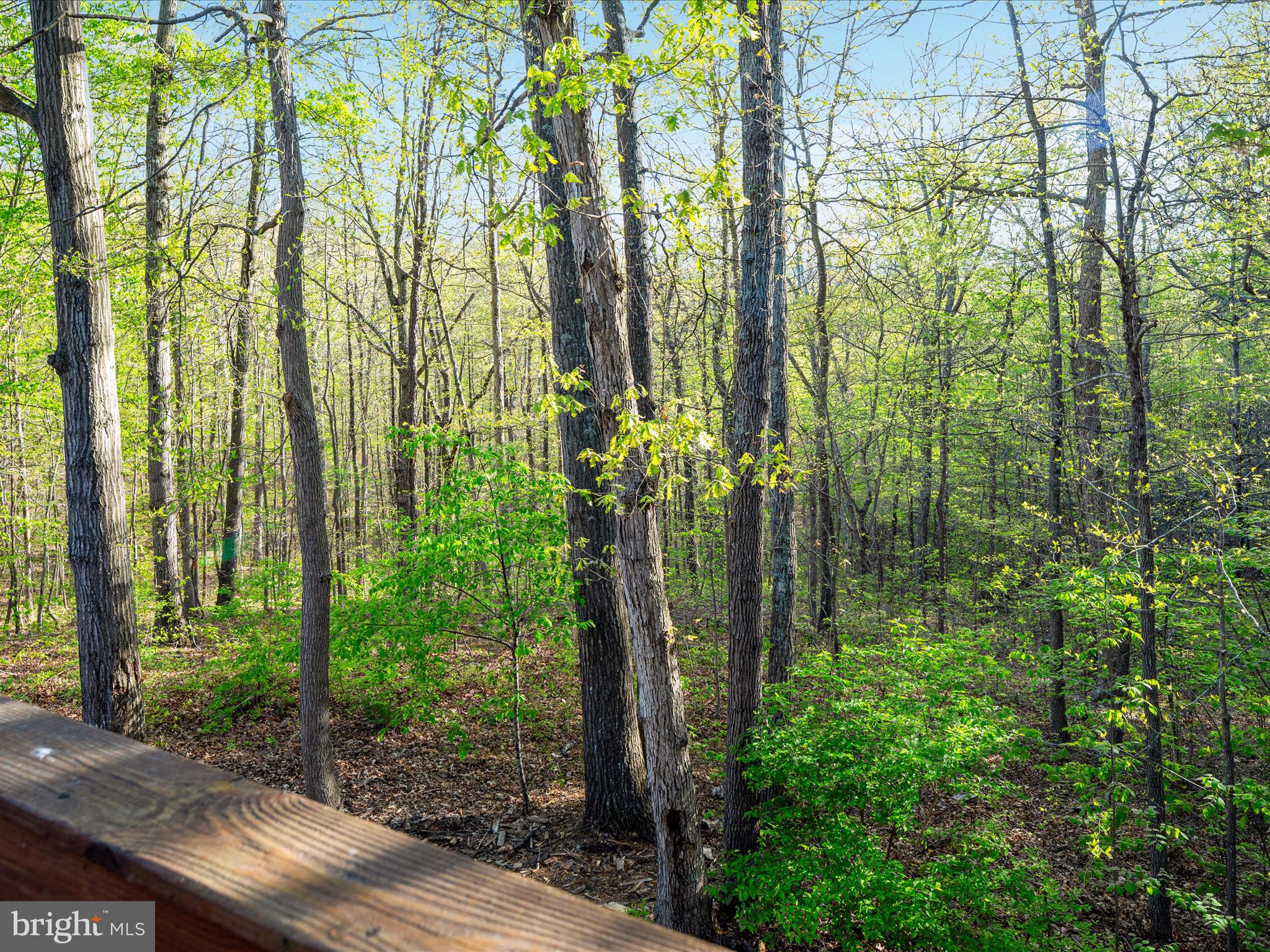 GREEN HILL FOREST - Residential Lease