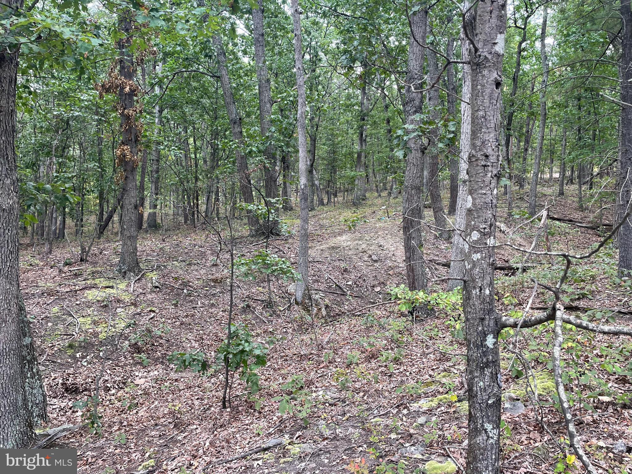 LOT 17 SECTION D LAKE FERNDALE