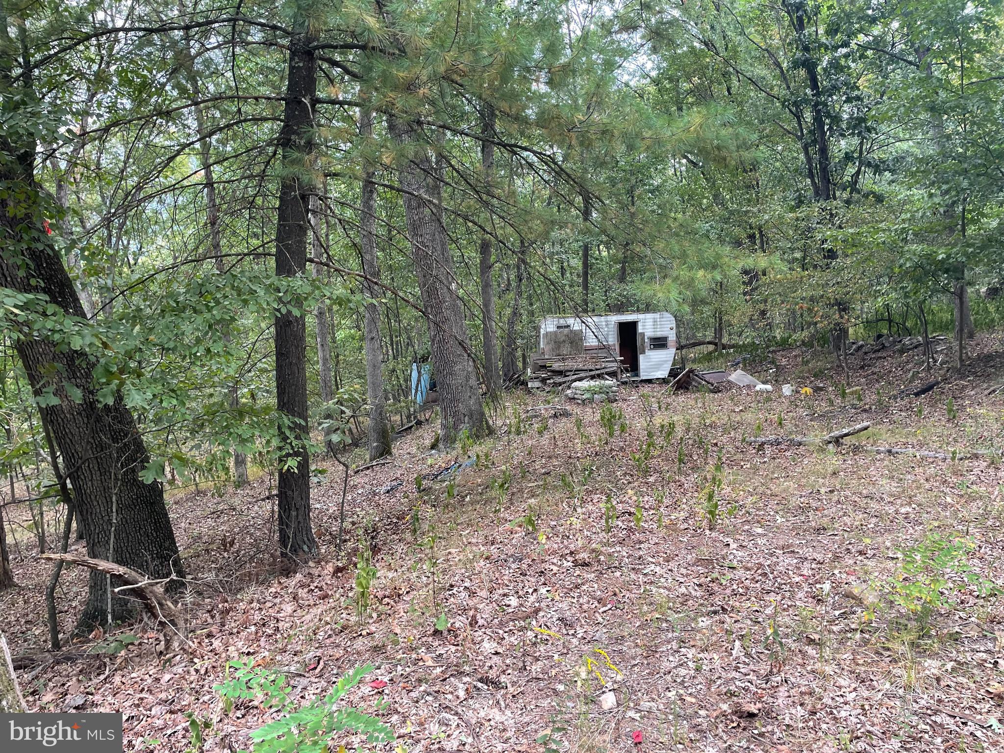 LOT 17 SECTION D LAKE FERNDALE
