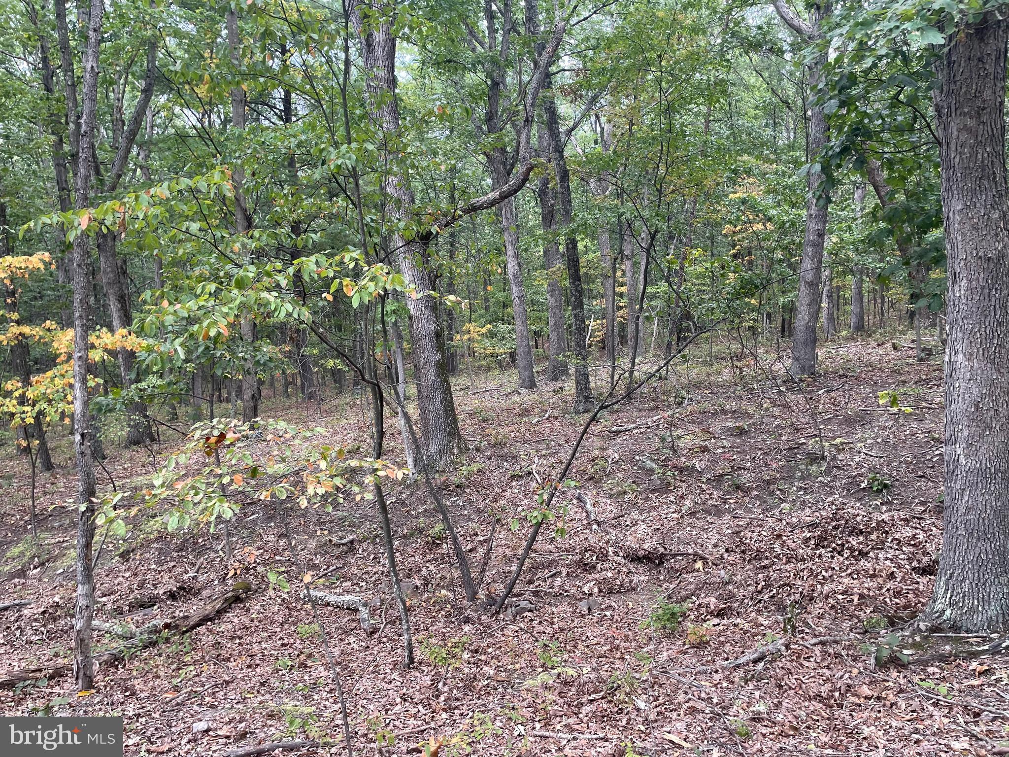 LOT 17 SECTION D LAKE FERNDALE