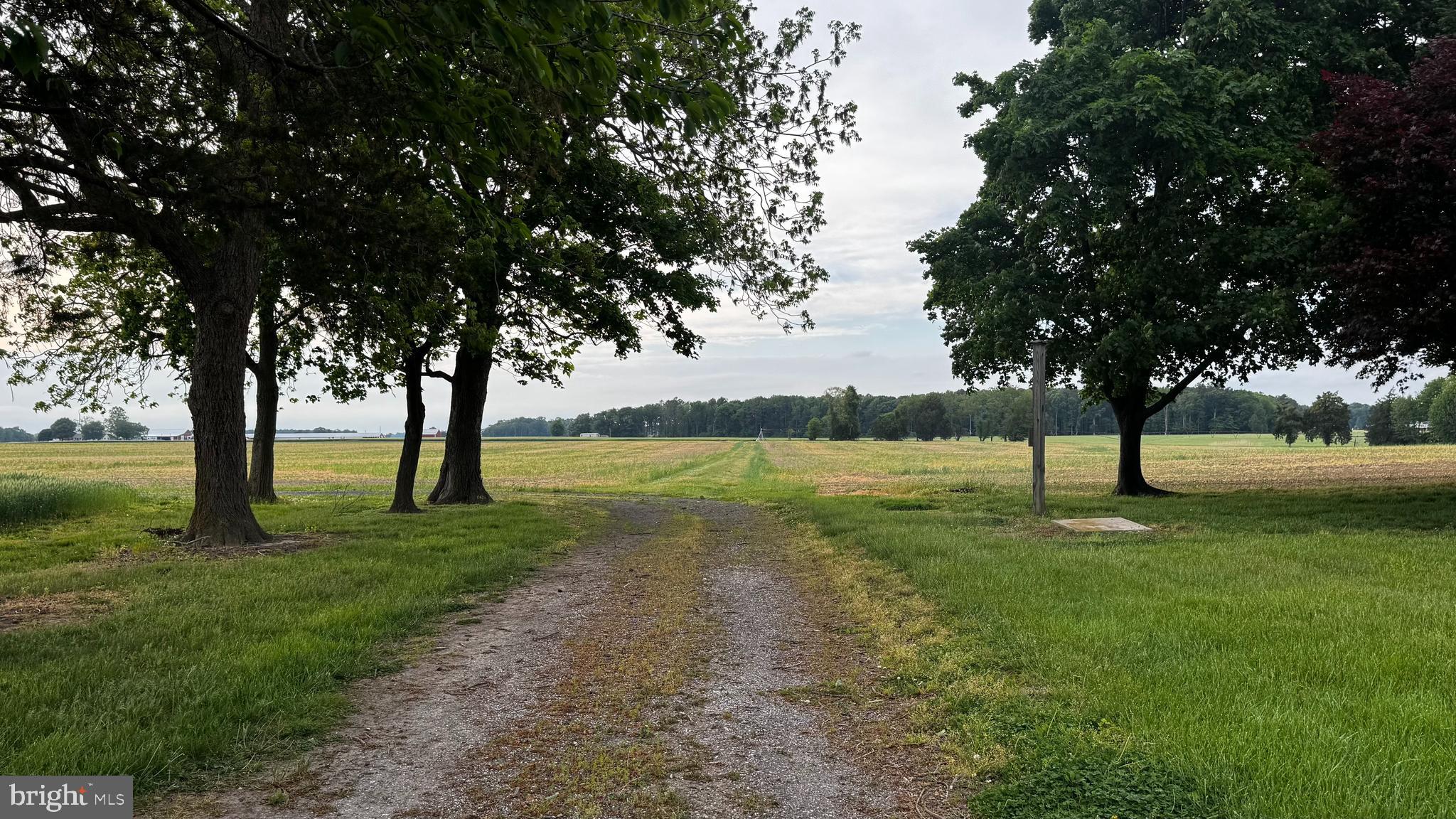 CORDOVA - Farm