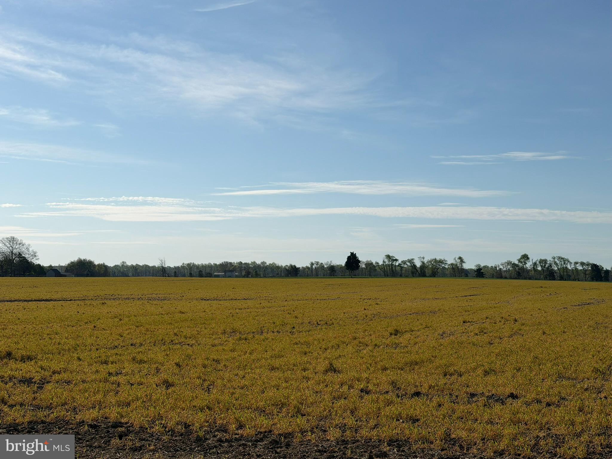 CORDOVA - Farm