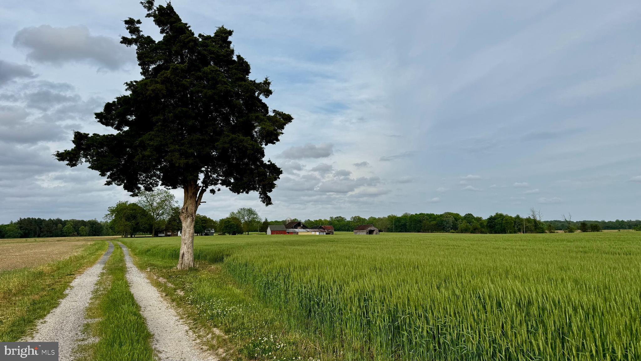 CORDOVA - Farm