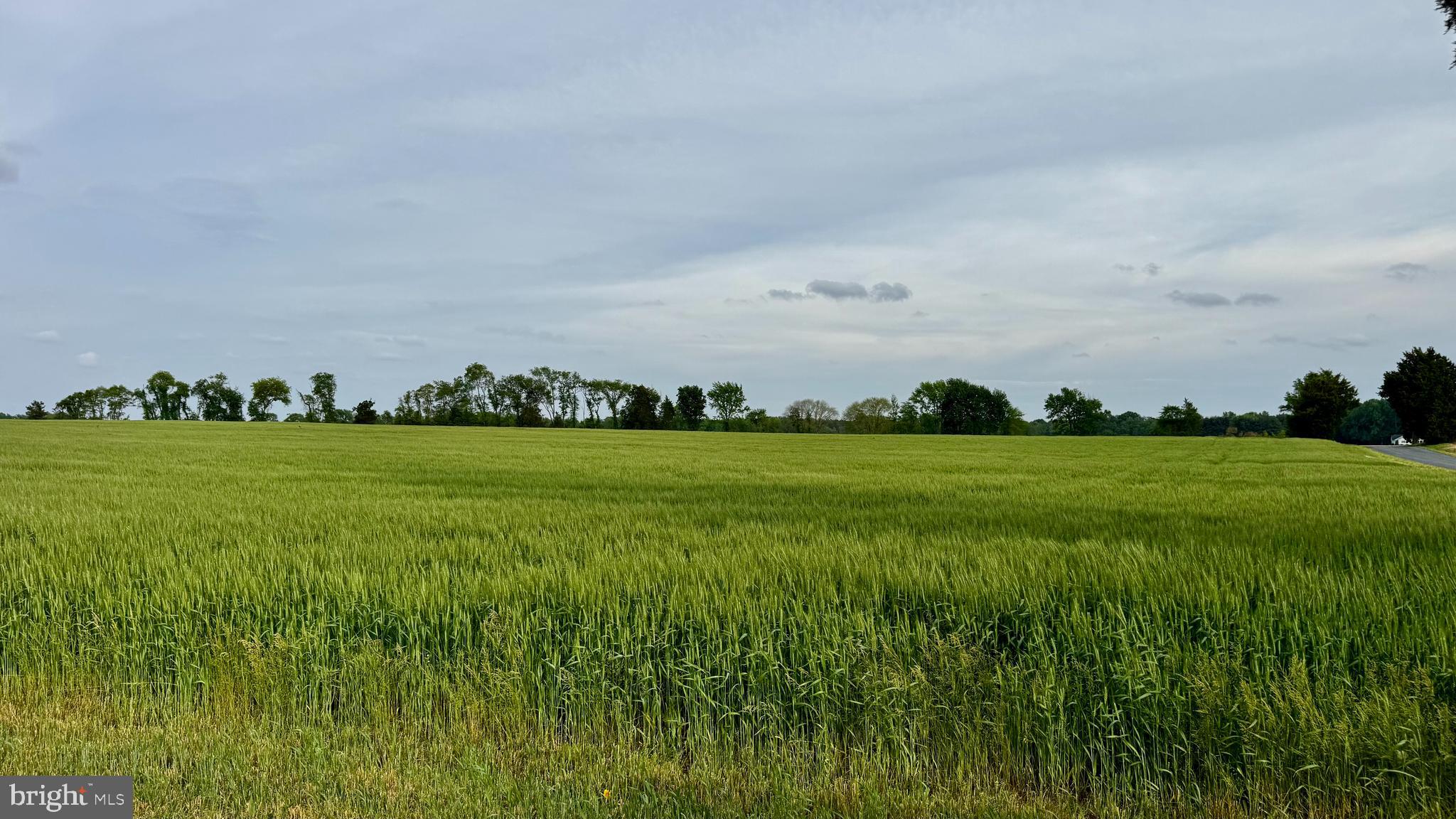 CORDOVA - Farm
